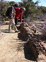 esacalante (3) (Copier).JPG